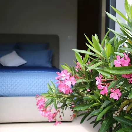 Bed & Breakfast Chaptalia Bandol